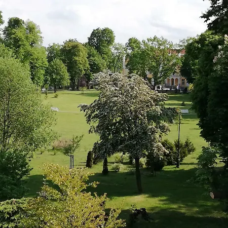 Orlowo Honey アパート グディニャ