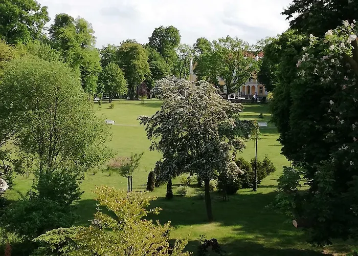 Gdynia Orlowo Honey Apartment Gdynia